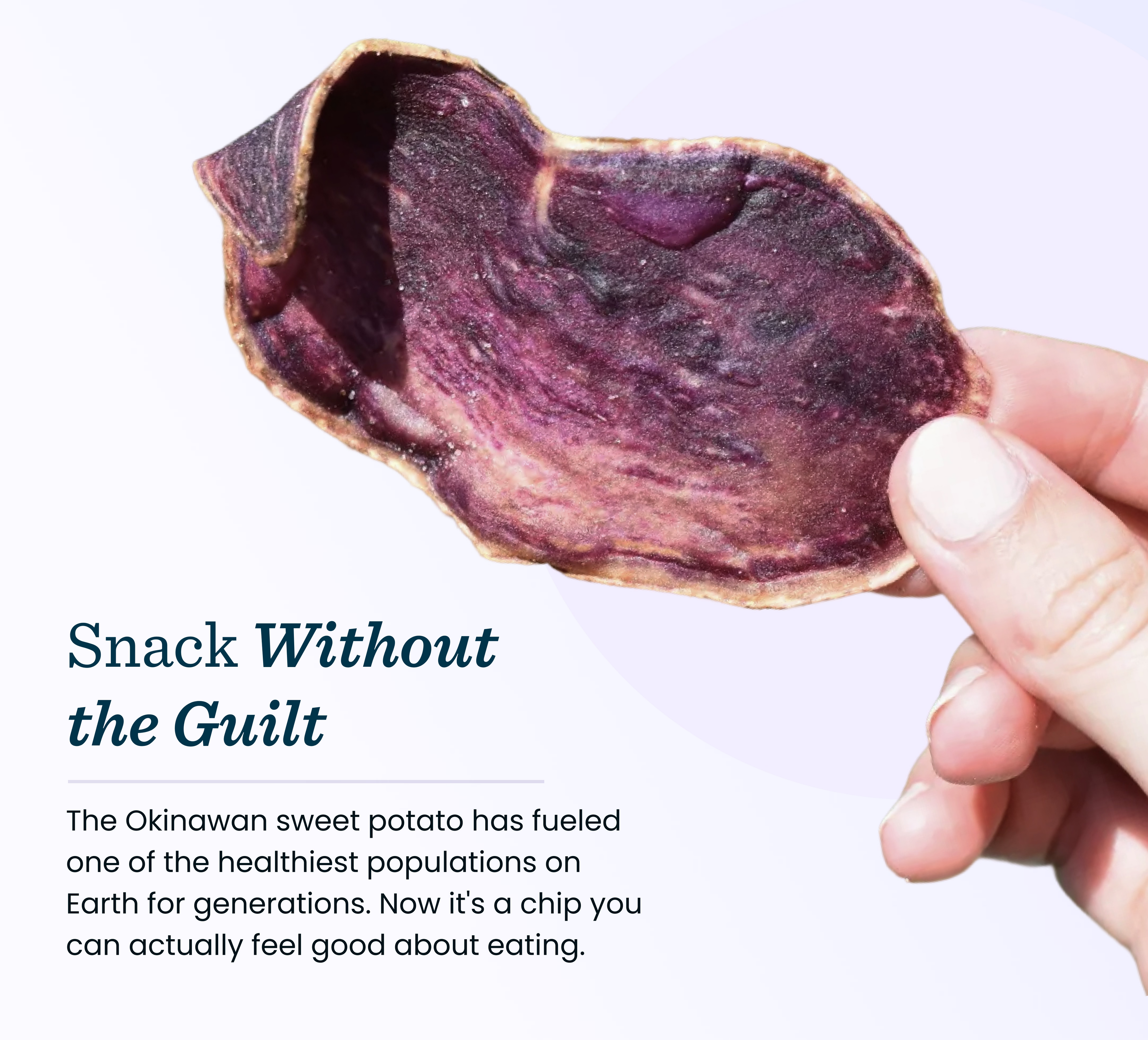 Okinawan Sweet Potato Chips | Sea Salt